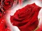 Laro Red Roses online