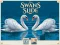 Laro Swans Slide online