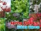 Laro Spring Flowers: Hidden Objects online