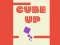 Laro Cube Up online