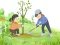 Laro Arbor Day Puzzle online