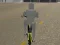 Laro Bicycle Simulator online