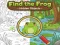 Laro Find the Frog Hidden Objects online