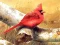 Laro Art Birds Puzzle online