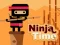 Laro Ninja Time online