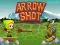 Laro Arrow Shoot online