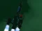 Laro Spacecraft II online