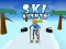 Laro Ski Rush 3d online