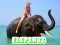 Laro Elephants Puzzle online