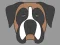 Laro Doggy Face Coloring online