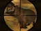 Laro Classical Hippo Hunting online