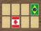 Laro World Flags Memory online