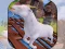 Laro Angry Goat Rampage Craze Simulator online