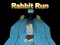 Laro Rabbit Run 3D online