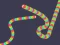 Laro Slither Classic online