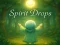 Laro Spirit Drops online