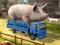 Laro Driver Master Simulator online