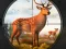 Laro Wild Animal Hunting online