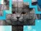 Laro PicPu Cat online
