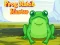 Laro Frog Match Master online