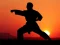 Laro Karate Sunset Warriors online