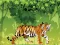 Laro Angry Tiger Coloring online