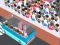 Laro Over Load Passengers online
