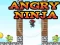 Laro Angry Ninja online