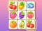 Laro Zoo Tile online