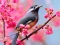 Laro Lovable Birds online