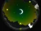 Laro Alpaca Run online