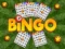 Laro Bingo online