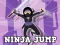 Laro Ninja Jump online