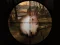 Laro Classical Rabbit Sniper Hunting 2019 online