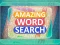 Laro Amazing Word Search online