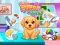 Laro Cute Puppy Care online