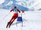 Laro Slalom Ski Simulator online