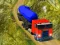 Laro Indian Cargo Truck Simulator online