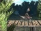 Laro Bike Trial Xtreme Forest online