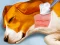 Laro Dog Hospital online