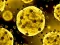 Laro Coronavirus Slide online