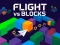Laro Flight vs Blocks online