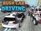 Laro Rush Car Driving online