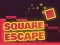 Laro Square Escape online