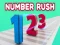 Laro Number Rush online
