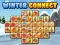Laro Winter connect online