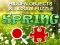 Laro Hidjigs Spring online