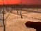 Laro Wasteland Shooters online