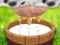 Laro Milk The Cow online