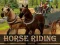 Laro Horse Riding Simulator online